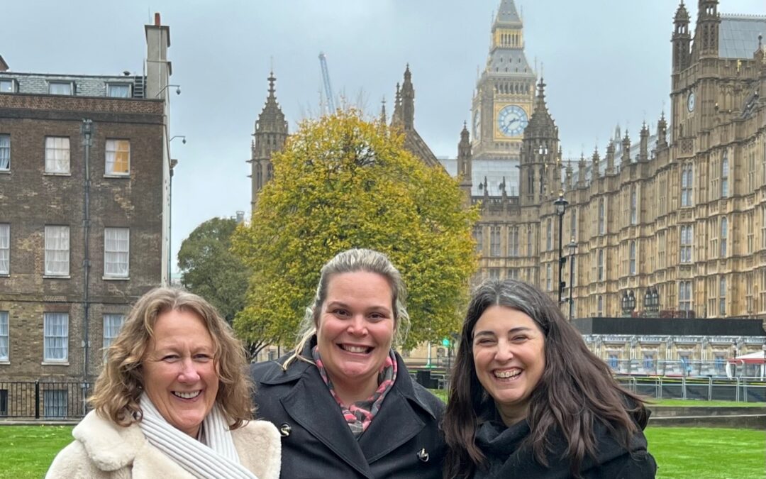 The BB team in Parliament – latest news on surrogacy law reform