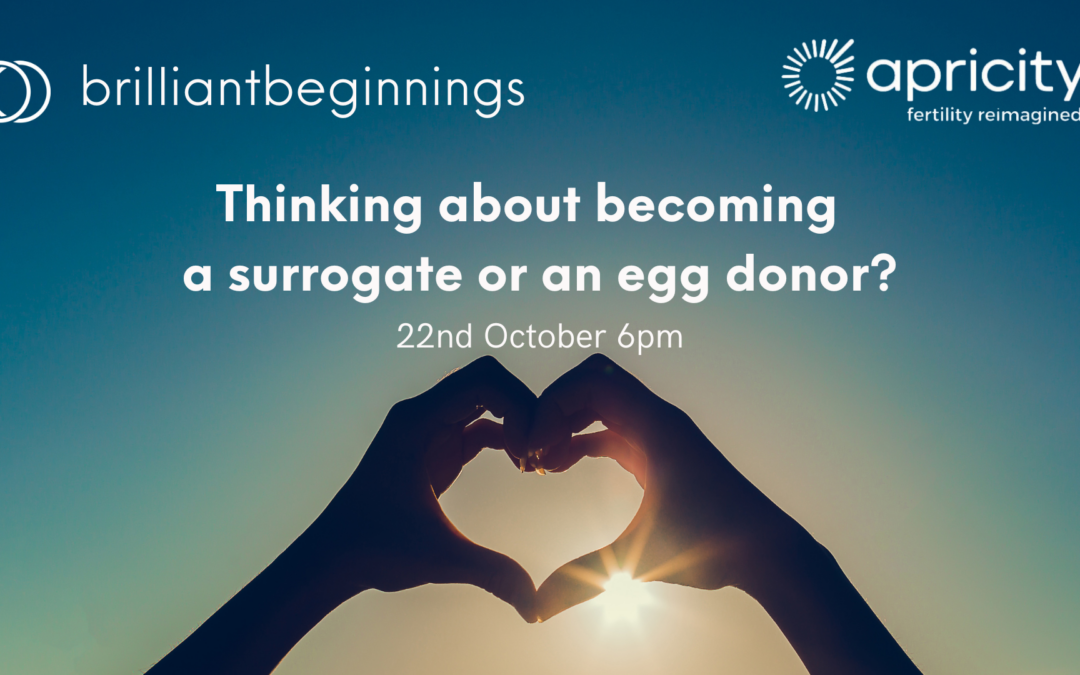 Online webinar becoming a surrogate or egg donor 22nd October 2024